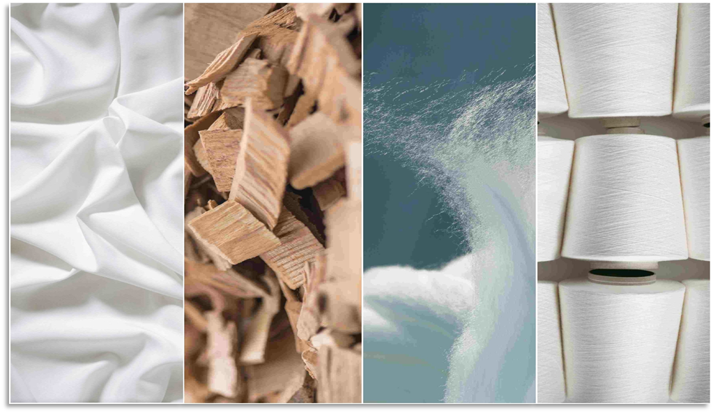Sustainable Fibers